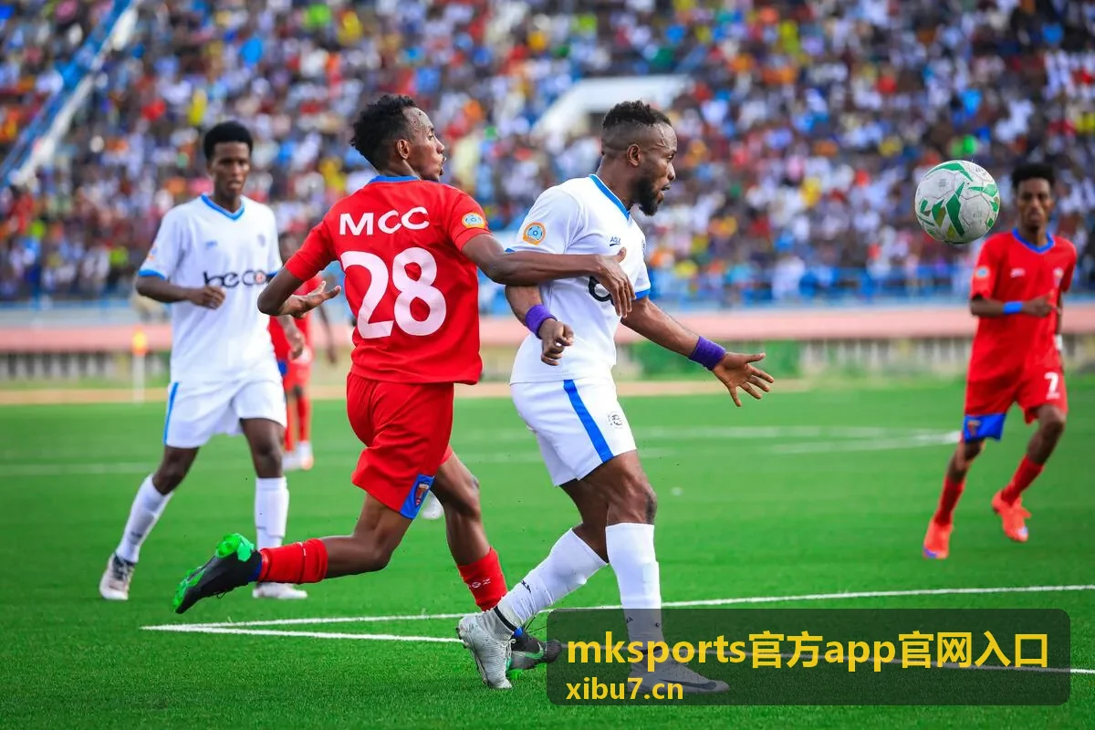 mksports官方app官网入口 账号安全与登录设备管理示意
